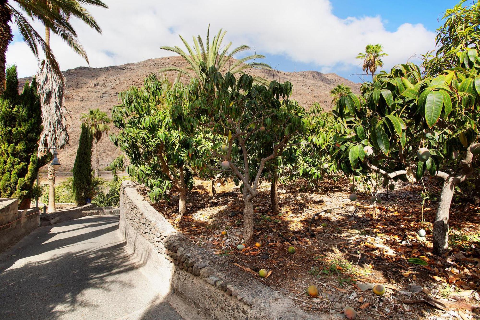 El Granero Paraiso Del Molinero Mogan Exterior photo